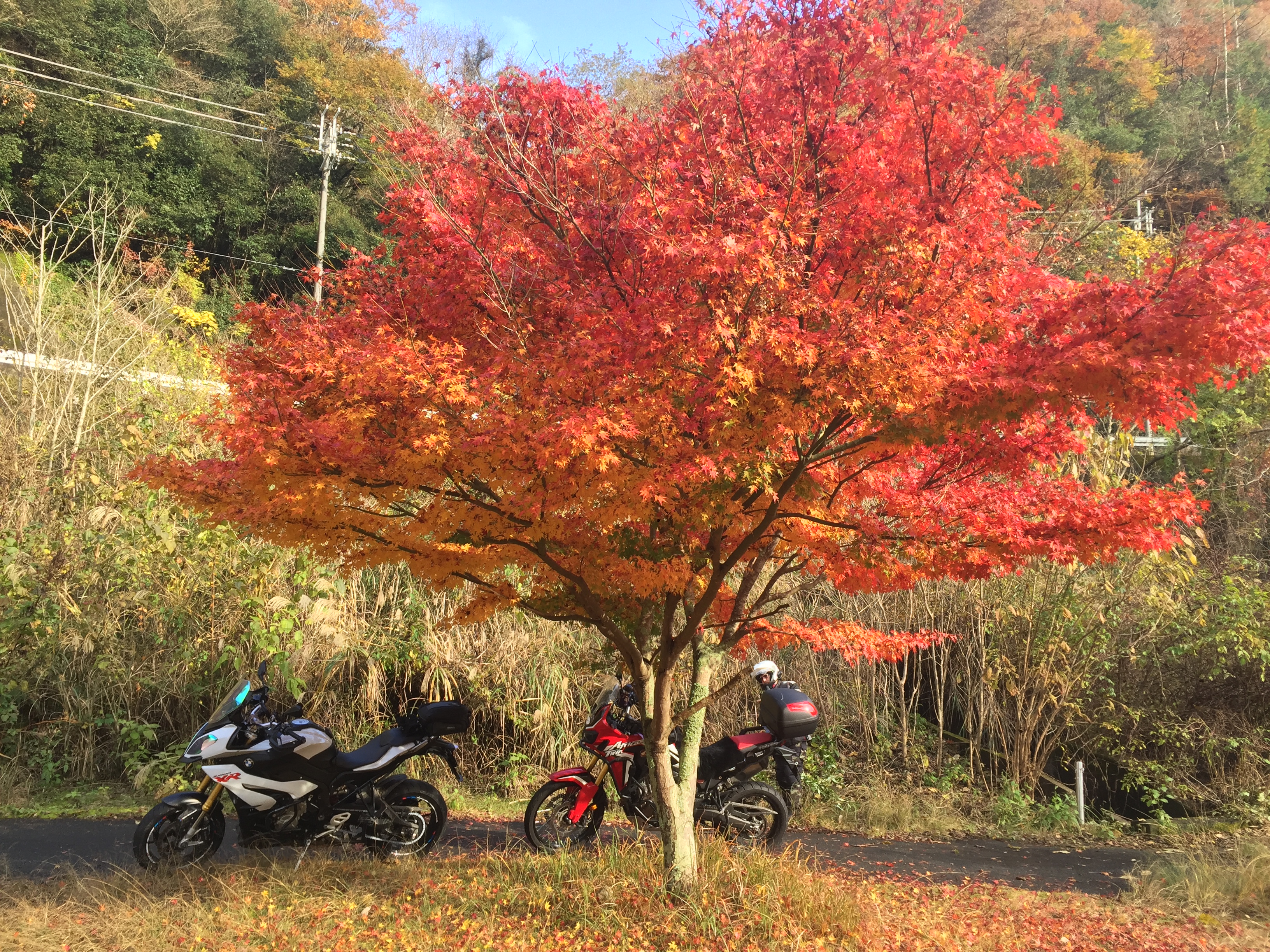 test